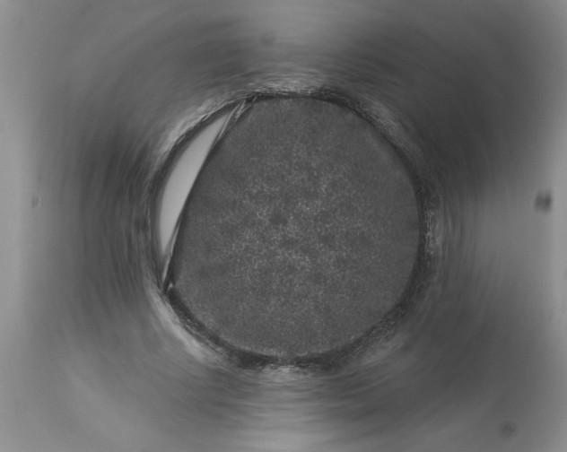 X0000113610634200910021805