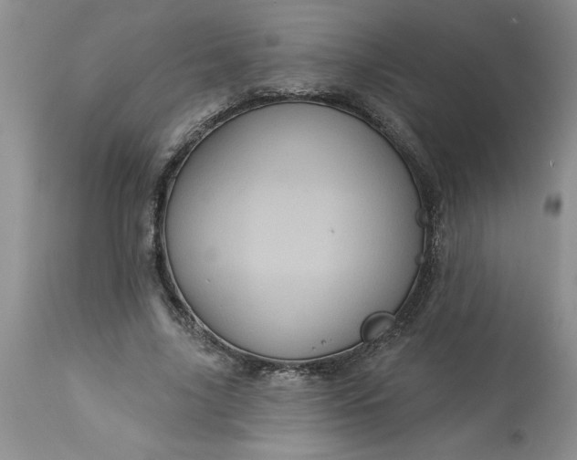 X0000113610635200910021805