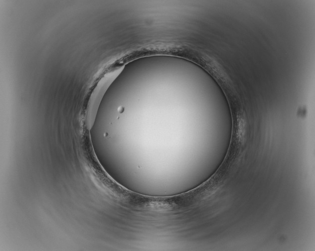 X0000113610636200910021805