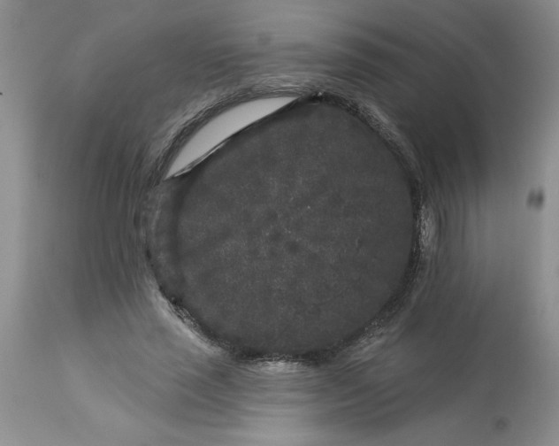 X0000113610637200910021805