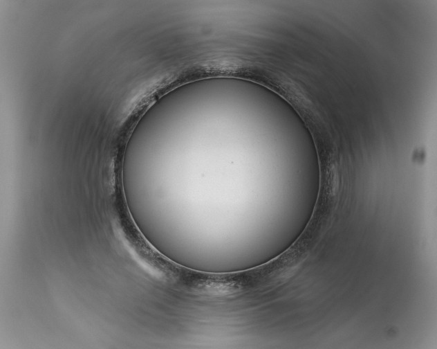 X0000113610638200910021805