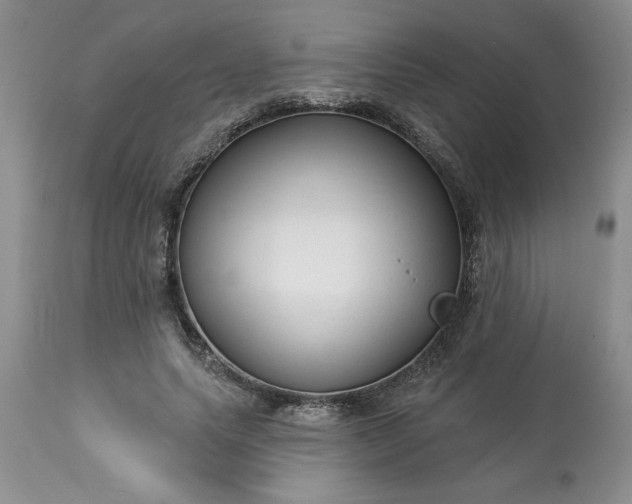 X0000113610639200910021805