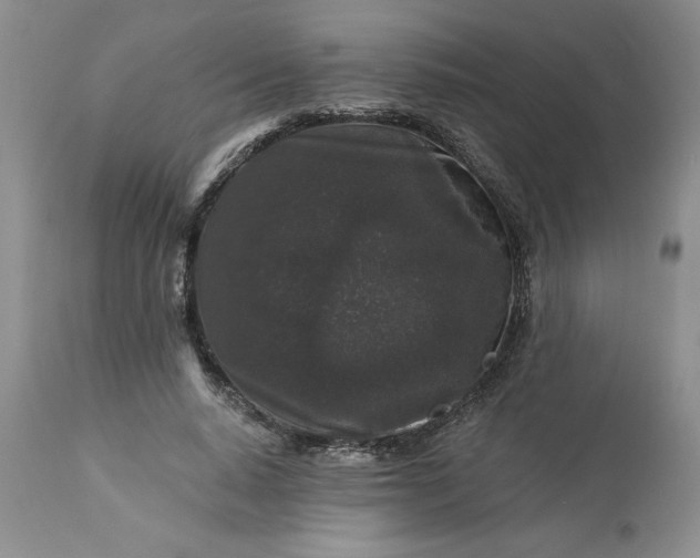 X0000113610640200910021805