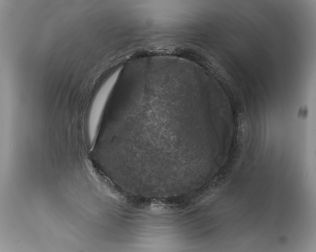 X0000113610641200910021805