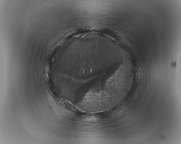 X0000113610643200910021805