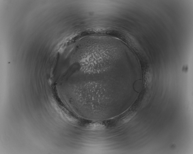 X0000113610644200910021805