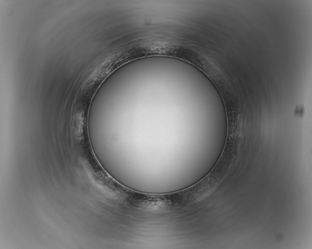 X0000113610646200910021805