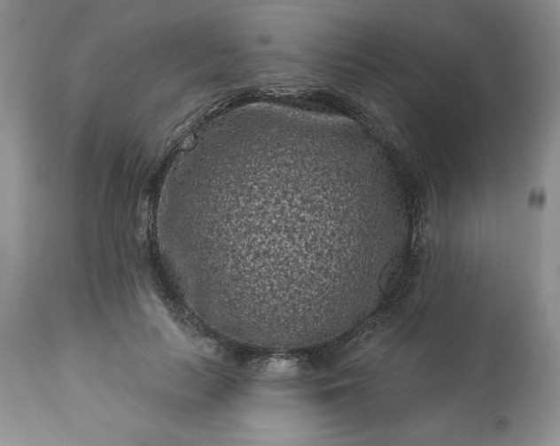 X0000113610647200910021805