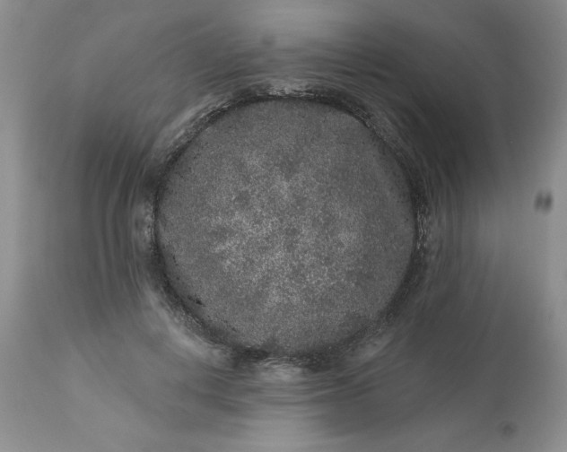 X0000113610648200910021805