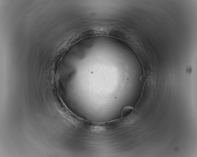 X0000113610649200910021805