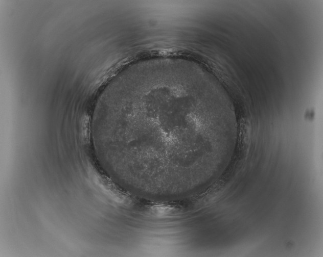 X0000113610650200910021805