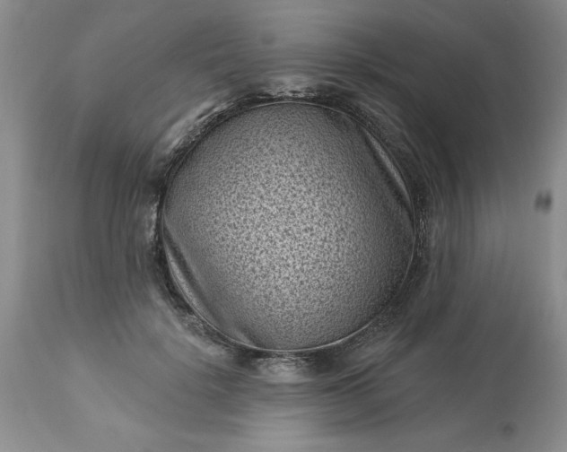 X0000113610652200910021805