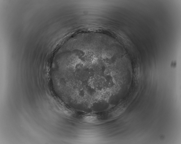 X0000113610653200910021805