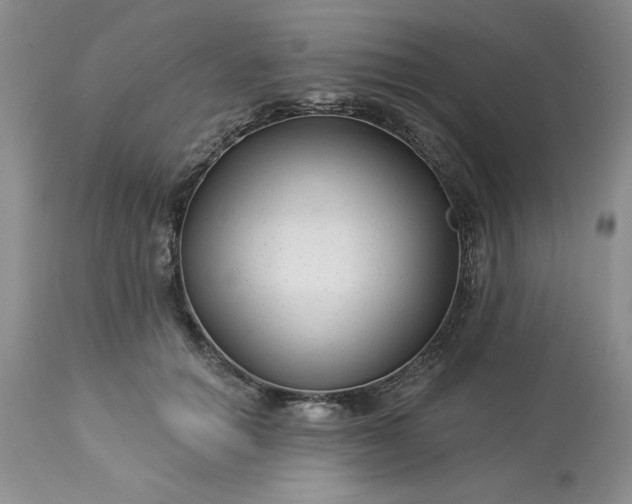 X0000113610654200910021805