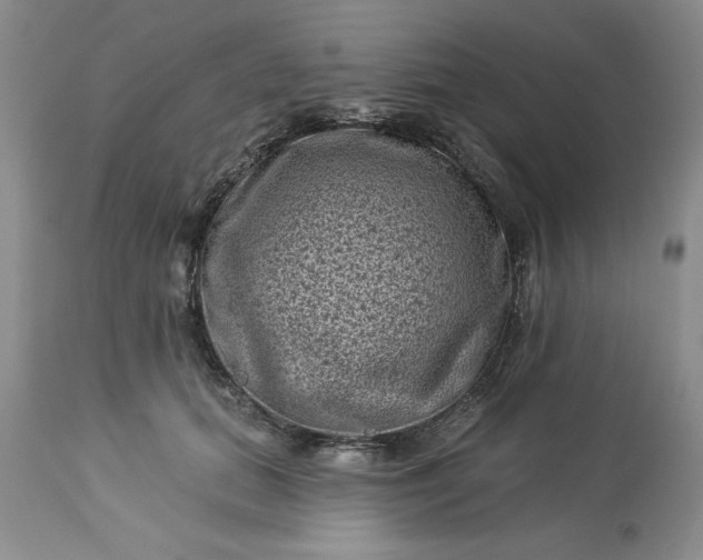 X0000113610655200910021805