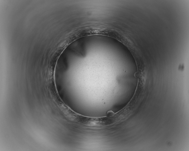 X0000113610657200910021805