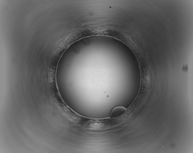 X0000113610658200910021805