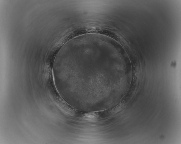 X0000113610659200910021805