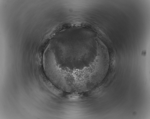 X0000113610661200910021805