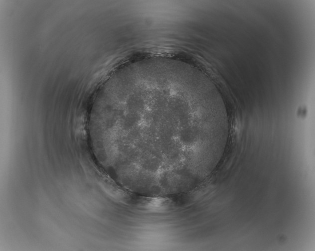 X0000113610663200910021805