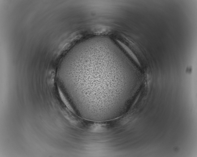 X0000113610664200910021805