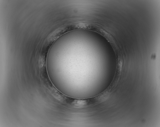 X0000113610665200910021805