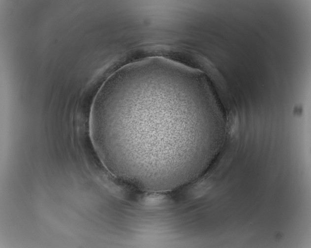 X0000113610669200910021805