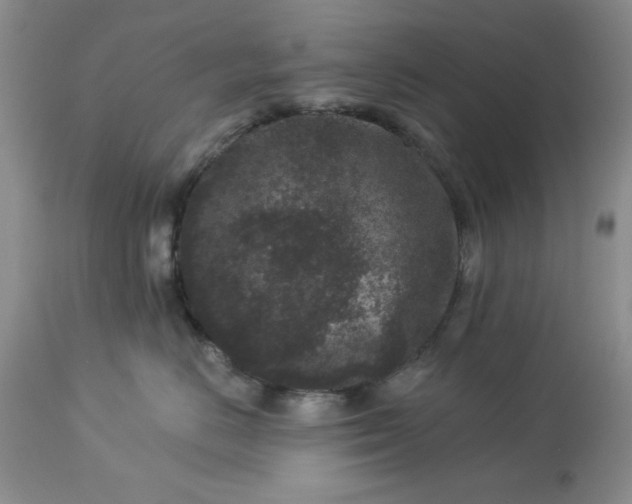 X0000113610670200910021805