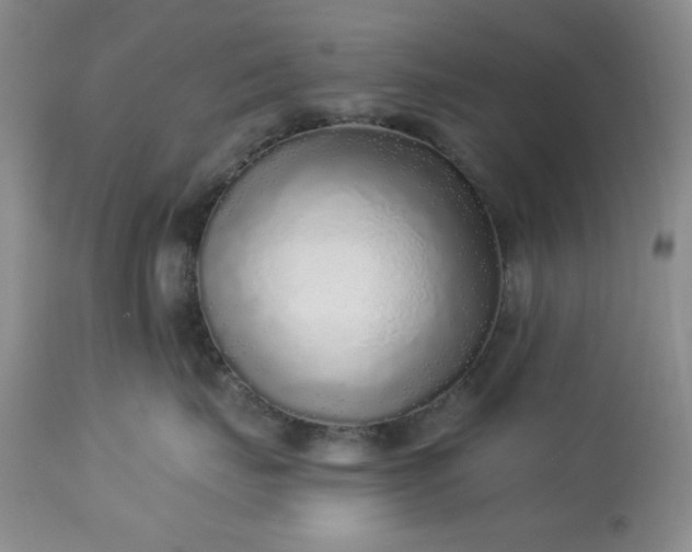 X0000113610671200910021805