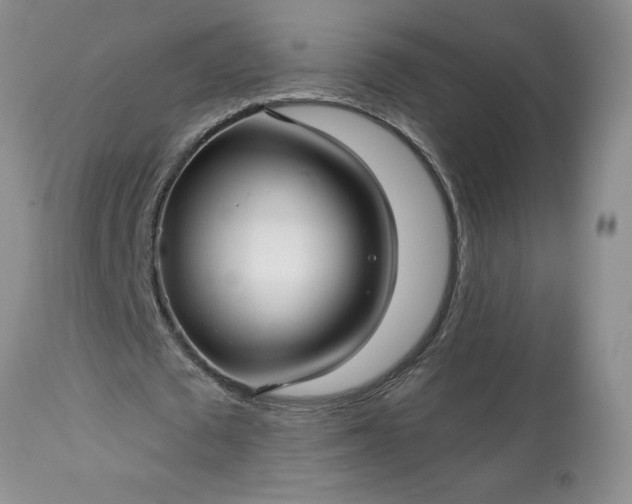 X0000113610673200910021805