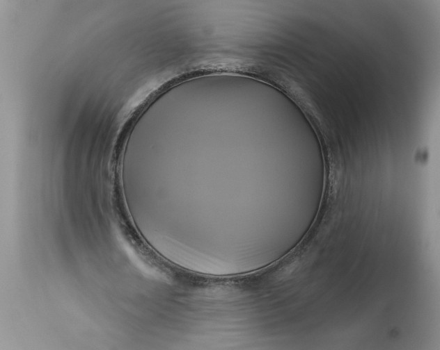 X0000113610674200910021805