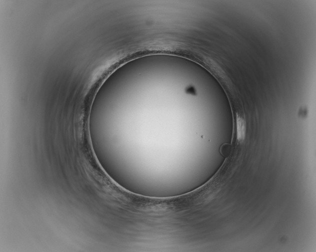 X0000113610675200910021805