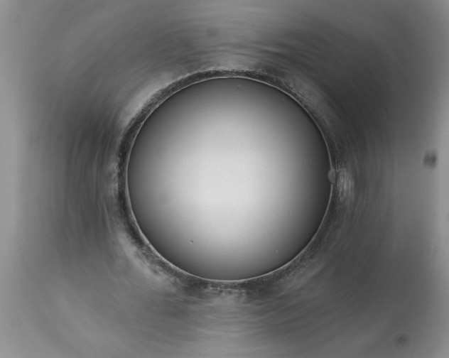 X0000113610676200910021805