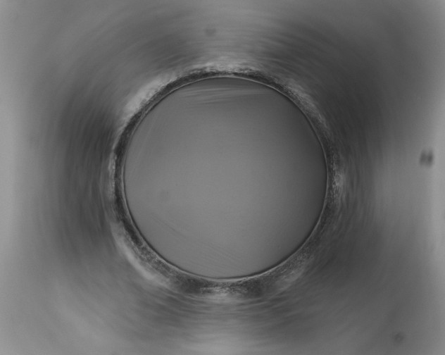 X0000113610678200910021805