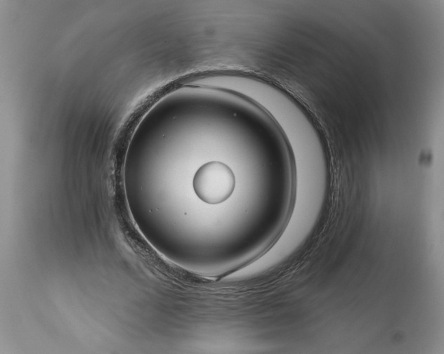 X0000113610680200910021805