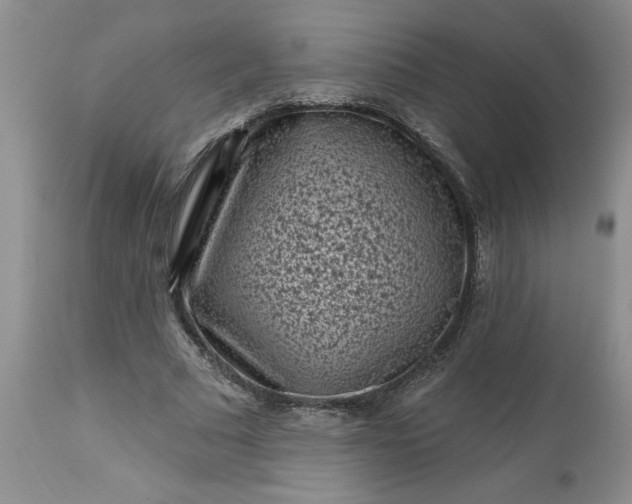 X0000113610681200910021805