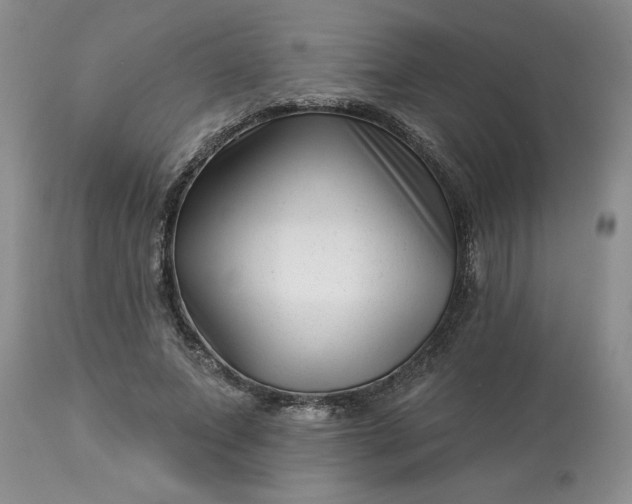 X0000113610687200910021805