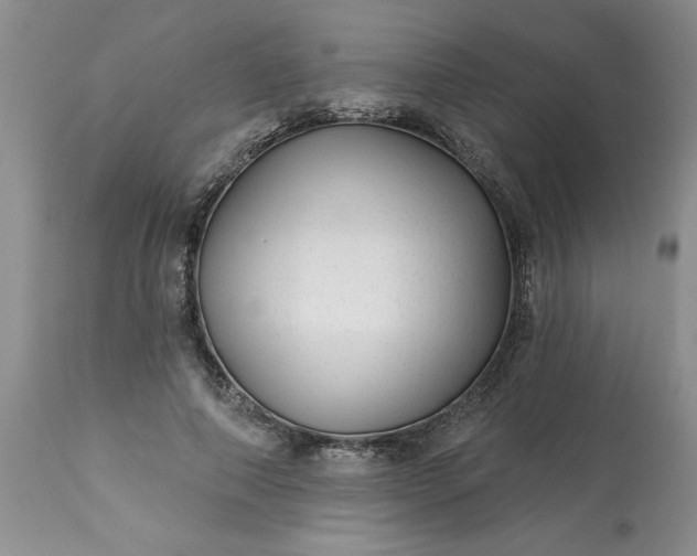 X0000113610690200910021805