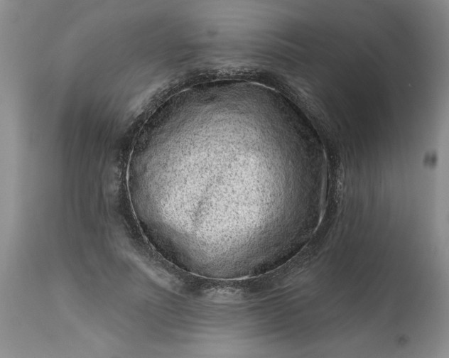 X0000113610691200910021804