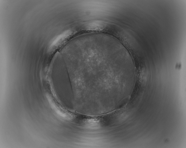 X0000113610692200910021804