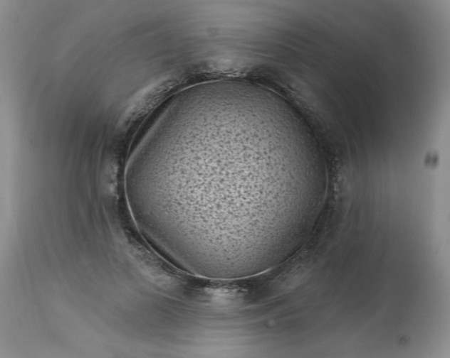 X0000113610693200910021804