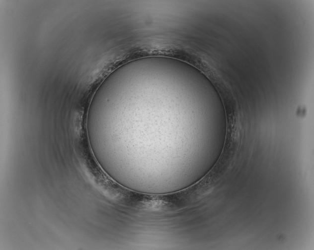 X0000113610695200910021804