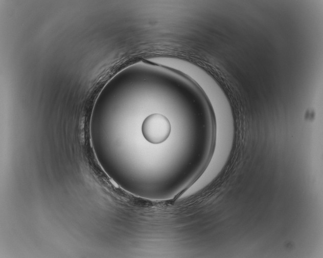 X0000113610696200910021804