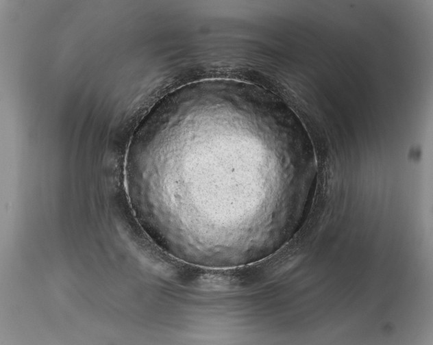 X0000113610699200910021804