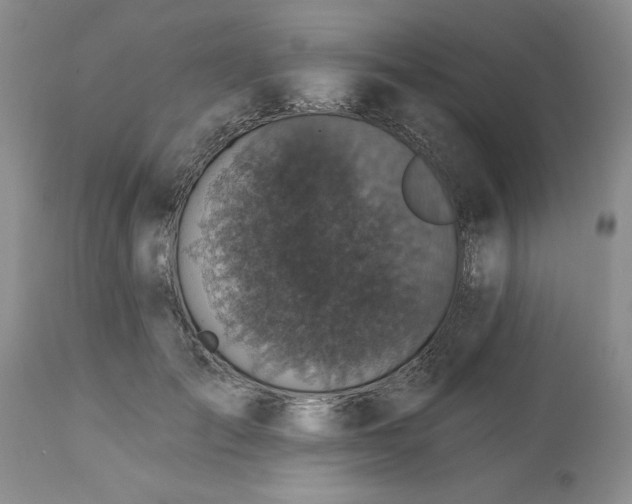 X0000113610701200910021804