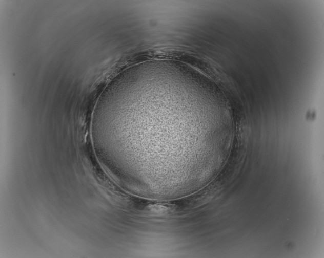 X0000113610703200910021804