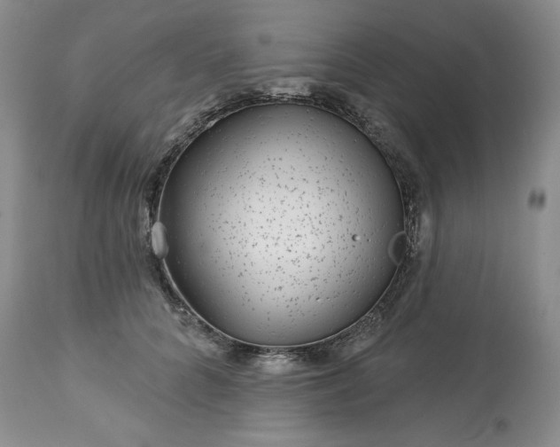 X0000113610704200910021804