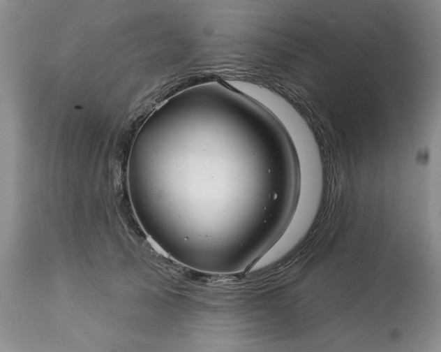 X0000113610705200910021804