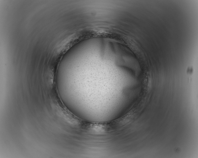 X0000113610710200910021804