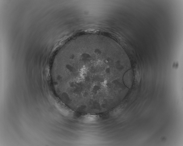 X0000113610711200910021804